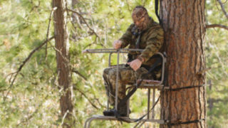 Bow Hunting Tree Stands